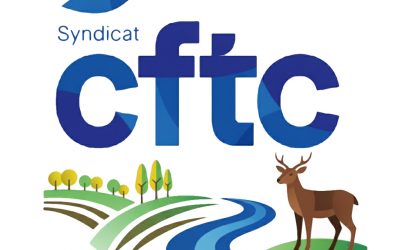 CFTC MAEnv & Ets // IA : un responsable au sein d’une structure territoriale nous parle de son approche sur le sujet